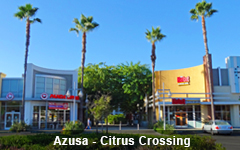 Citrus Crossing